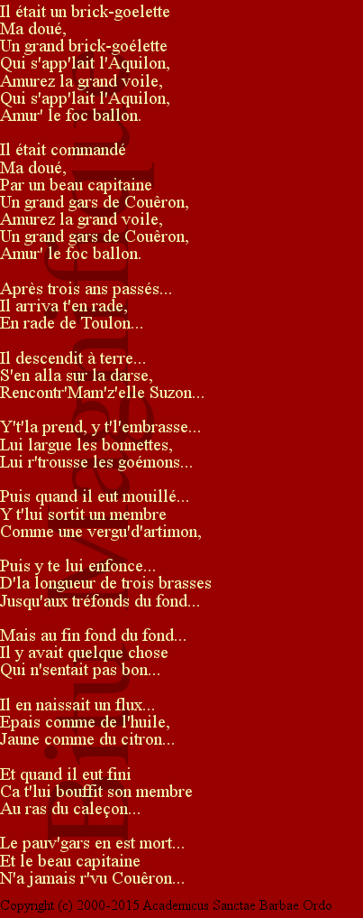 Le brick goélette
